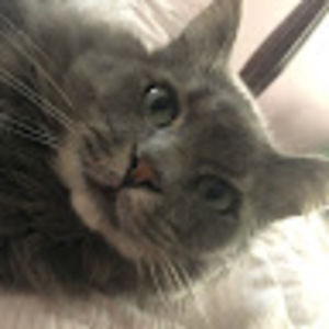 Meet your Posher, Helene